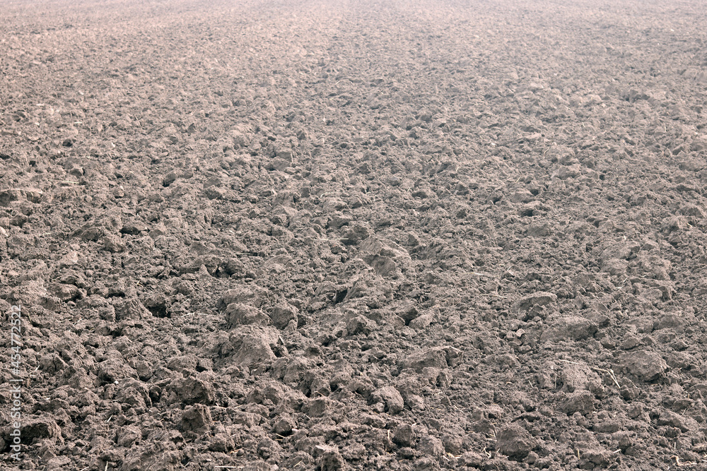 Natural background with fertile black soil Natural background with fertile black soil