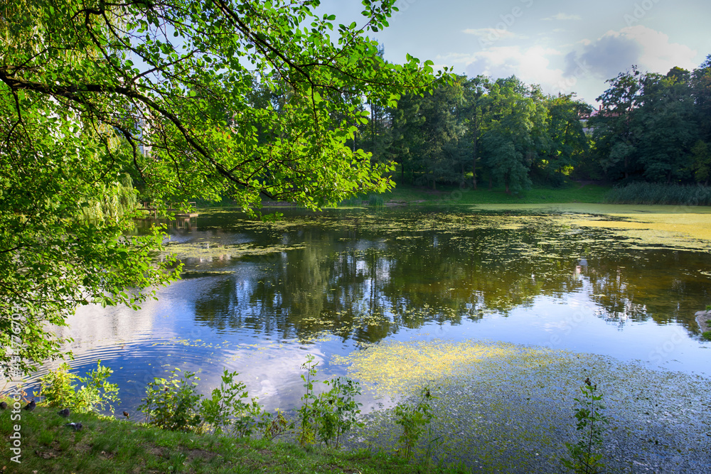 Beautiful lake in the city park in the autumn season