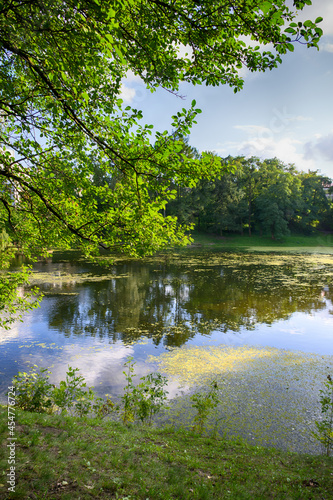 Beautiful lake in the city park in the autumn season