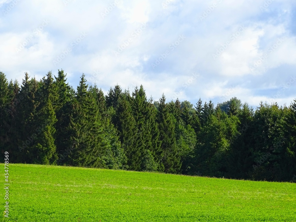 rural view of green meadows in the hills