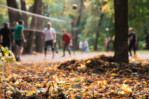 Blurred background with silhouettes of people playing volleyball in the forest. Dry yellow autumn leaves on the ground. View from the bottom