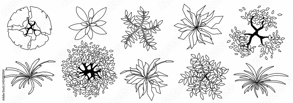 Trees and plants top view. Different uncolored grass and trees set for architectural and landscape design. Black and white graphic, isolated on white. Vector illustration. Elements for design projects Trees and plants top view. Different uncolored grass and trees set for architectural and landscape design. Black and white graphic, isolated on white. Vector illustration. Elements for design projects