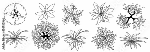 Trees and plants top view. Different uncolored grass and trees set for architectural and landscape design. Black and white graphic, isolated on white. Vector illustration. Elements for design projects