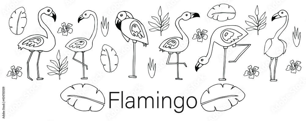 Drawn flamingo. Flamingo text. Hand drawn vector stock illustration. Black and white whiteboard drawing.