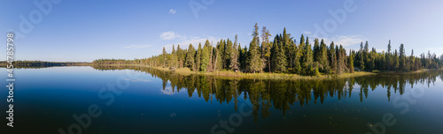 Fototapeta Naklejka Na Ścianę i Meble -  Panorama of a calm bright blue northern lake with evergreen trees along the shoreline and scattered plants in the water.
