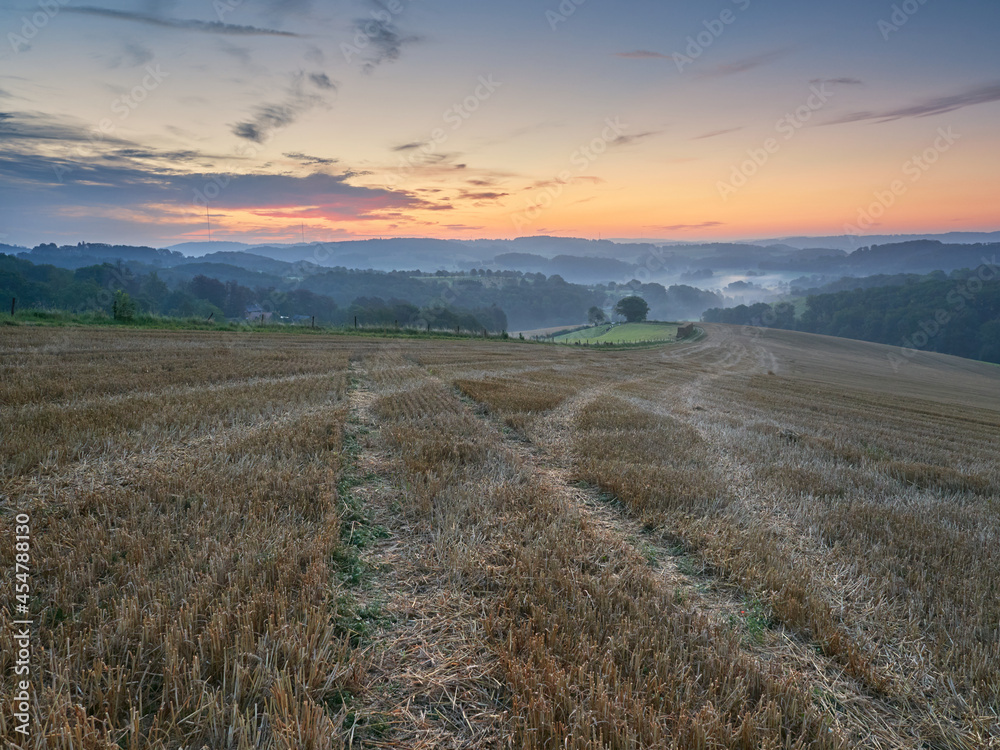 Rural landscape in the German city of Velbert before sunrise in the Bergisches land region. Mown field in the foreground and misty woods in the background. Rural landscape in the German city of Velbert before sunrise in the Bergisches land region. Mown field in the foreground and misty woods in the background.