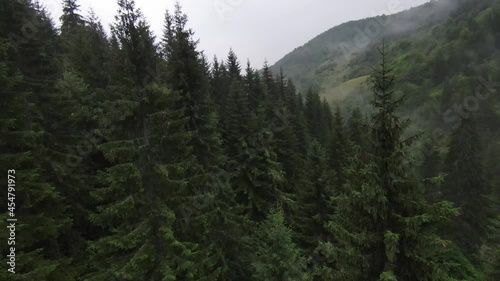 Wallpaper Mural Extreme close flight over treetops in the misty forest morning. Aerial shot on fpv sport drone over clouds nature valley landscape with mountain hilly terrain. Dynamic cinematic view.  Torontodigital.ca