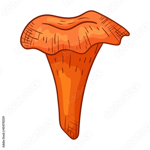 Vector isolated image of forest doodle chanterelle mushroom in line art style.