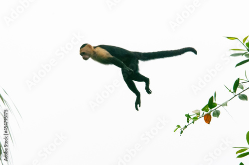 person running