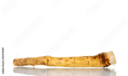 One spicy horseradish root, close-up, isolated on white.