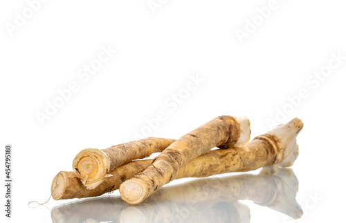 Several spicy horseradish roots, close-up, isolated on white.