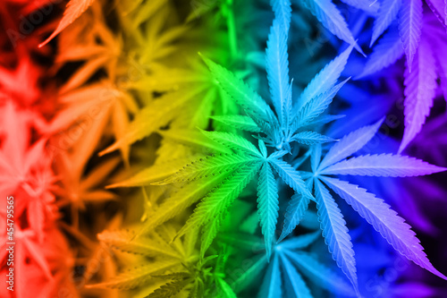 Bild auf Leinwand Marijuana leaves background toned in rainbow colors