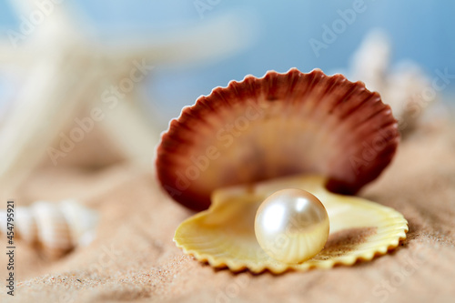 beach white sand with pearl in clam shell