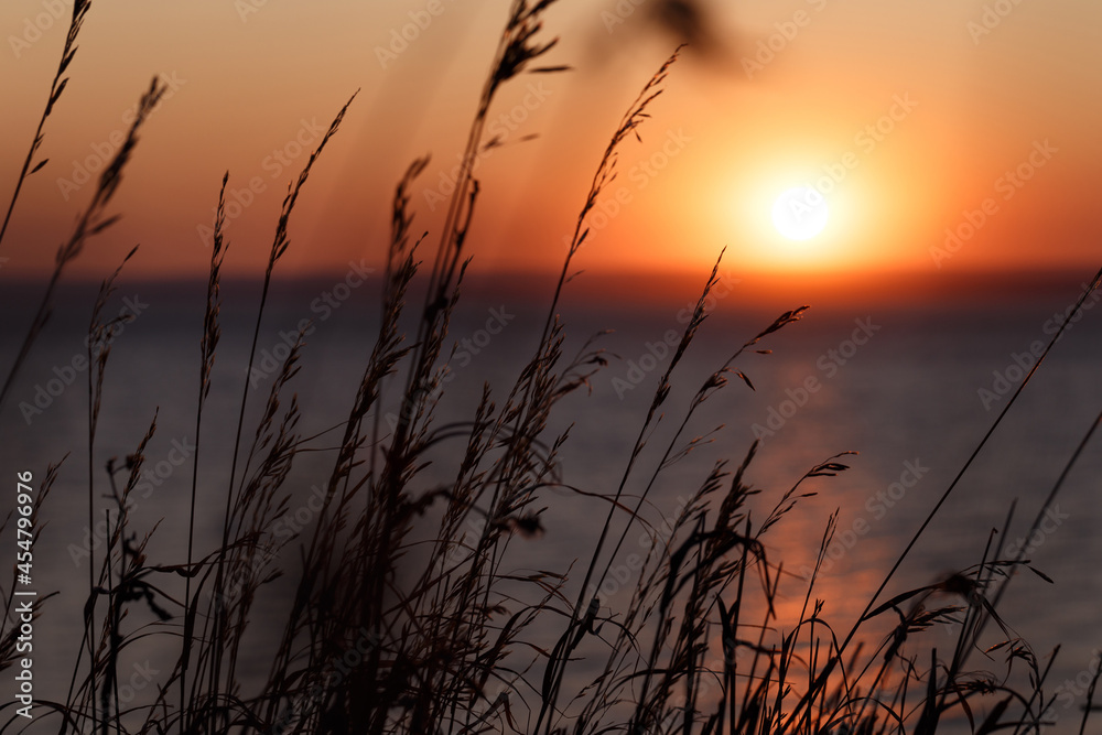 Selective soft focus of dry grass and colorful sunset. Beautiful colorful sunset over the sea. The red sun and the absence of clouds. Sea horizon. The concept of a postcard picture
