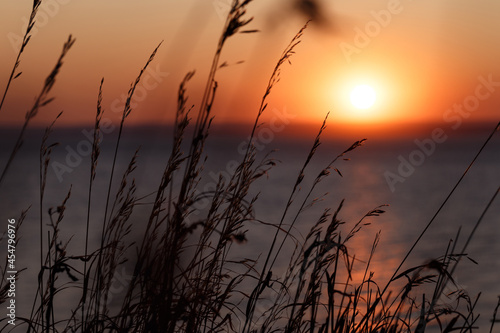 Selective soft focus of dry grass and colorful sunset. Beautiful colorful sunset over the sea. The red sun and the absence of clouds. Sea horizon. The concept of a postcard picture