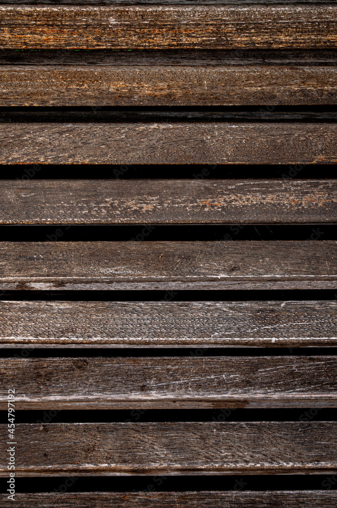 tree details and wood textures tree details and wood textures