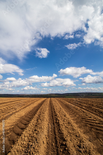 plowed field and sky