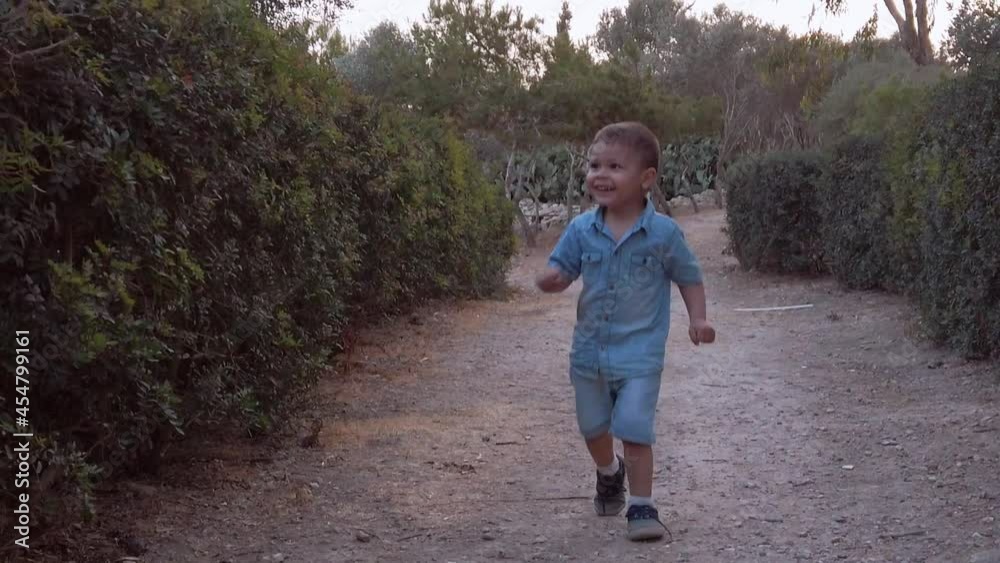 a smiling little child walking along the boxwood path through the park. High-quality FullHD footage a smiling little child walking along the boxwood path through the park. High-quality FullHD footage