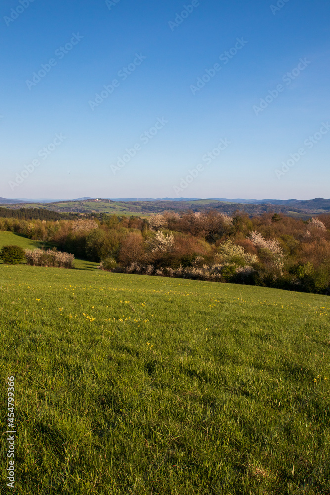 Fototapeta premium landscape with grass and blue sky