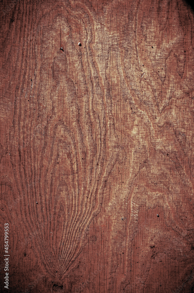 Obraz premium tree details and wood textures