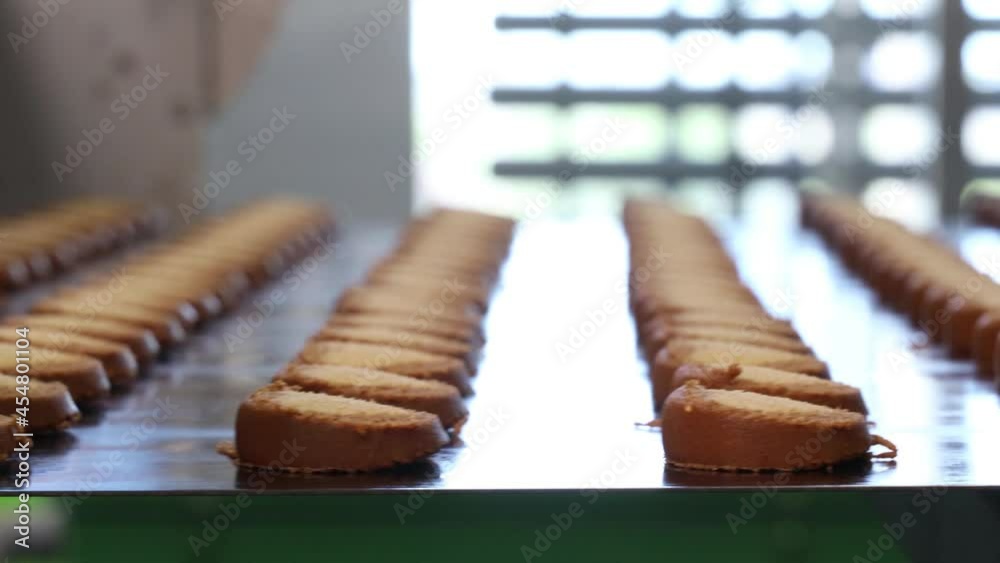 conveyor at the confectionery factory for the production of sweet cookies conveyor at the confectionery factory for the production of sweet cookies