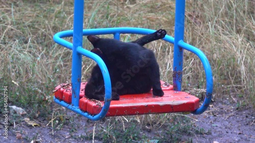 Funny black cat self washes sitting on a swing in the playground  photo