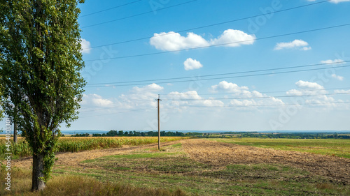 Summer country landscape