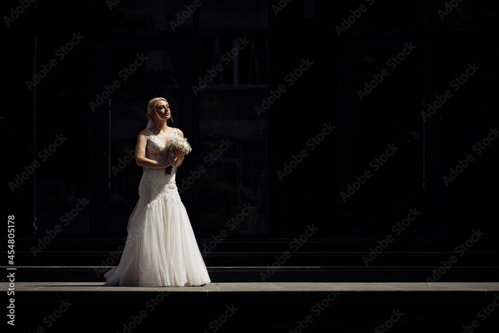 Luxurious bride on a dark background Luxurious bride on a dark background