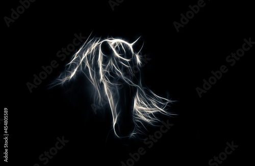Fototapeta Naklejka Na Ścianę i Meble -  stylized horse illustration on black background