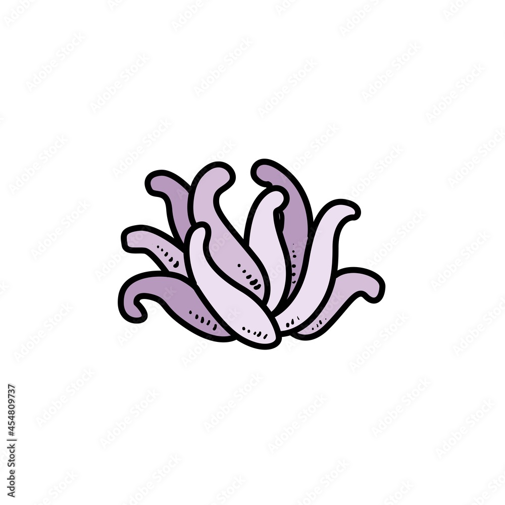 Obraz premium Small colony of anemones object color variation for coloring page isolated on white background