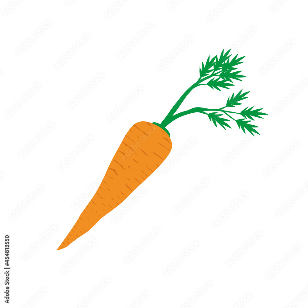 Yellow carrots. Illustration Carrot Green Leaves Isolated White Background