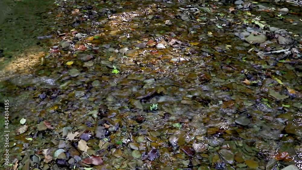 Creek water slowly flowing through small rocks Creek water slowly flowing through small rocks