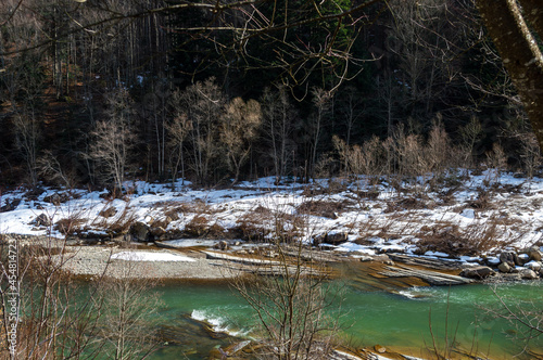 river flowing in forest in mountains in spring