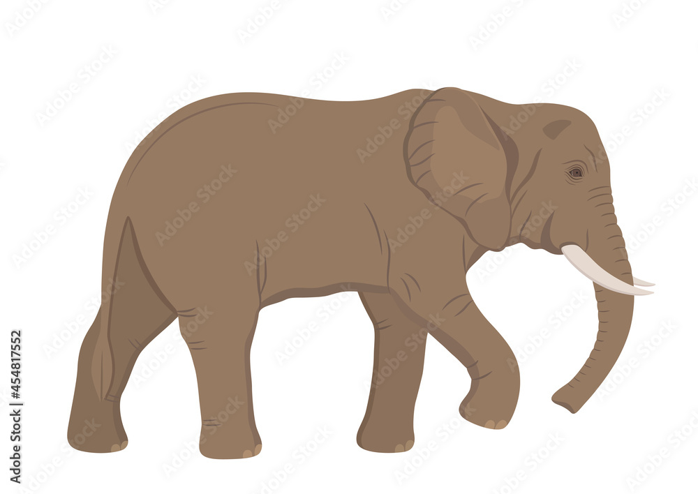vector illustration with african elephant