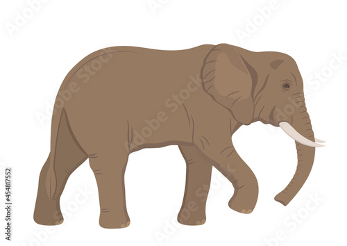 vector illustration with african elephant