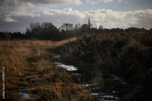 Pye Green Tower from Cannock Chase photo