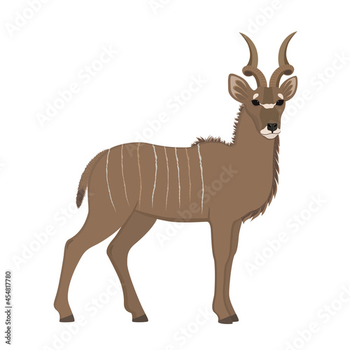 vector illustration with antelope greater kudu