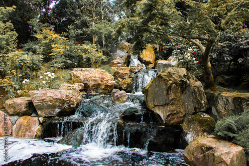 waterfall in the forest