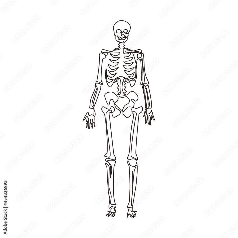 Continuous one line drawing human skeleton image, useful for creating ...
