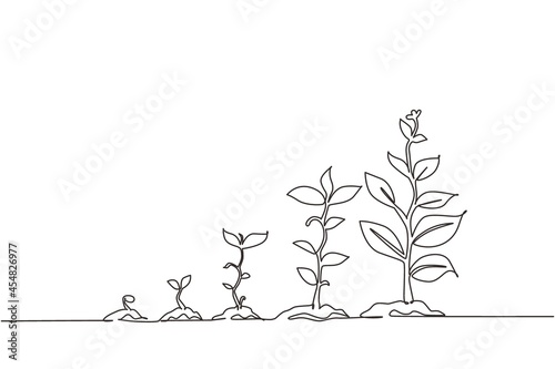 Continuous one line drawing infographic of planting tree. Seeds sprout in ground. Seedling gardening plant. Sprouts, plants, trees growing icons. Single line draw design vector graphic illustration