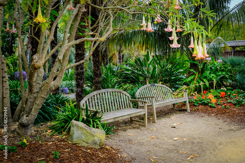 Two empty wooden bench in a beautiful setting surrounded by plants and hanging flowers.