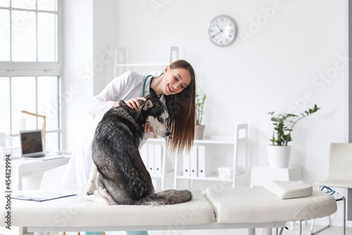 Veterinarian examining cute...