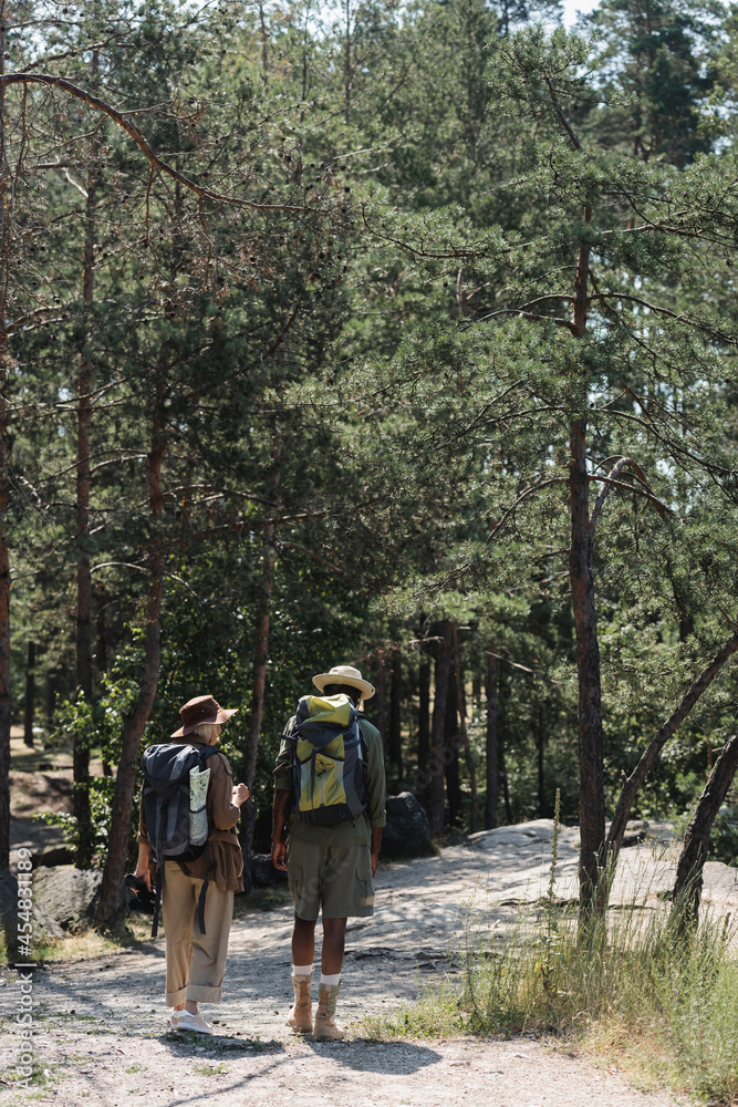 Elderly multiethnic couple with backpacks hiking in forest. Elderly multiethnic couple with backpacks hiking in forest.