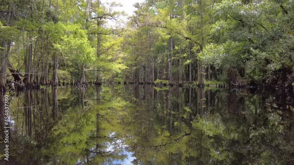 Late summer kayaking on Fisheating Creek near Palmdale, Florida on calm sunny day 4K. Late summer kayaking on Fisheating Creek near Palmdale, Florida on calm sunny day 4K.