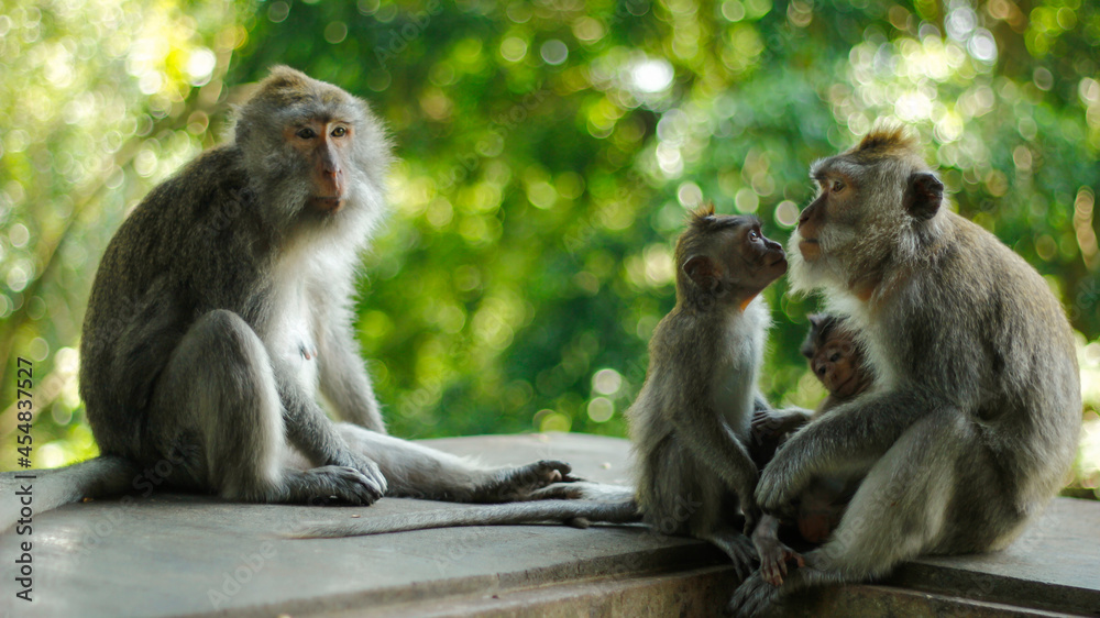 Naklejka premium love is love