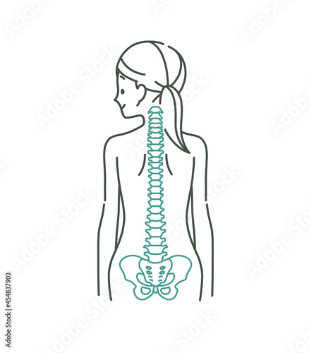 女性の背中と背骨のイメージ-2色