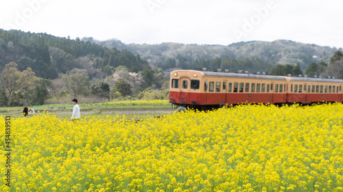 train in the countryside