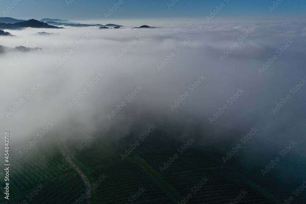 Obraz premium fog over the lake