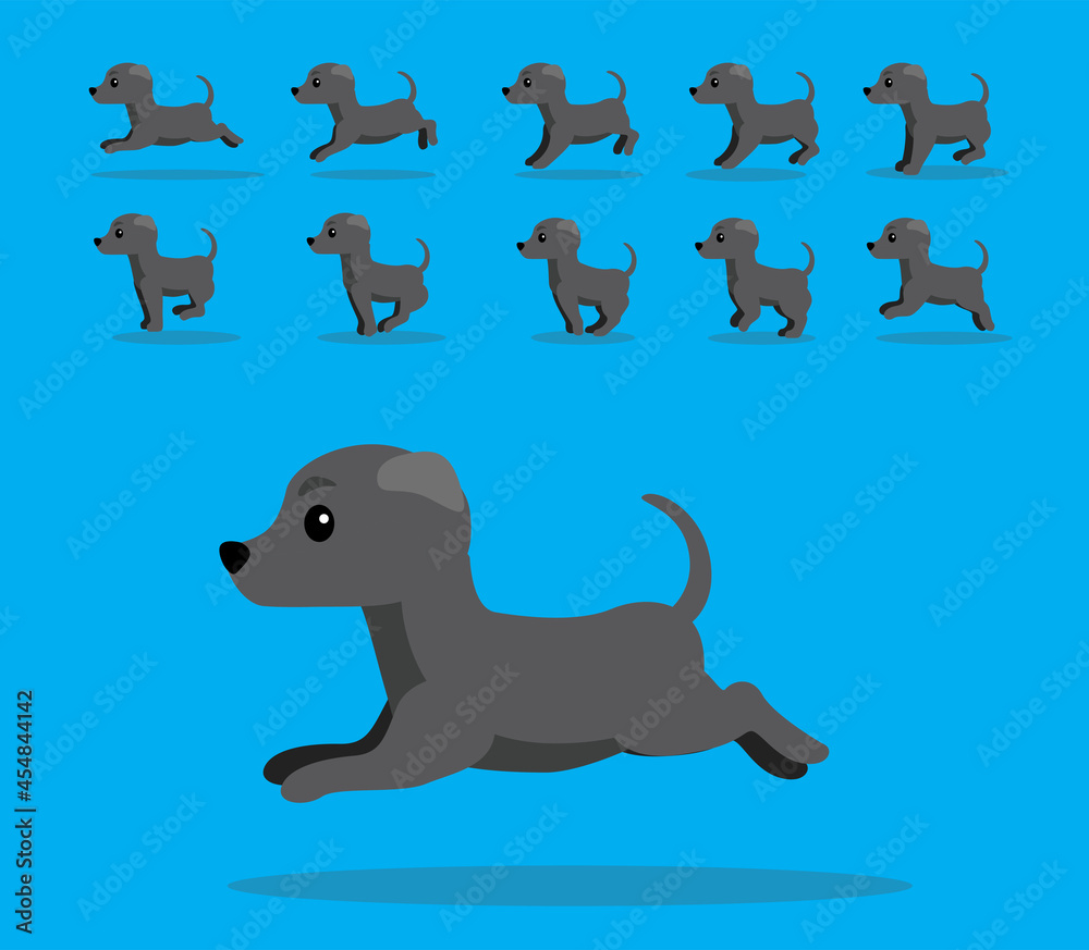 Animal Animation Sequence Dog Greyhound Greay Coat Cartoon Vector