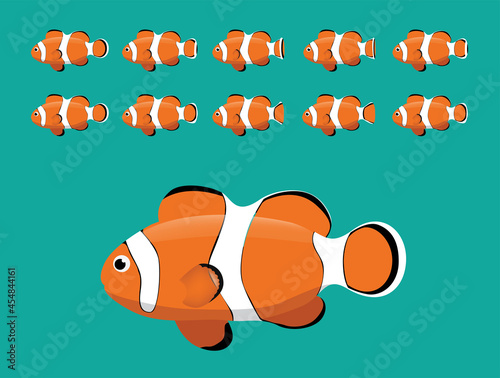 Animal Animation Sequence Ocellaris Clownfish Swimming Cartoon Vector